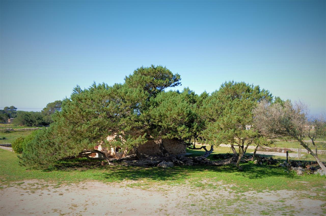 Siamoformentera Bella Villa San Francisco Javier Kültér fotó