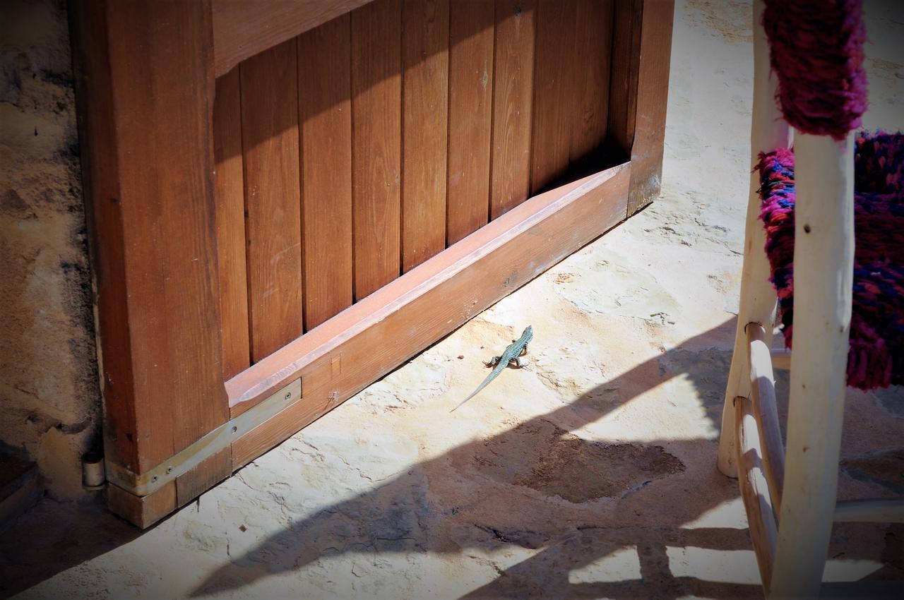 Siamoformentera Bella Villa San Francisco Javier Kültér fotó