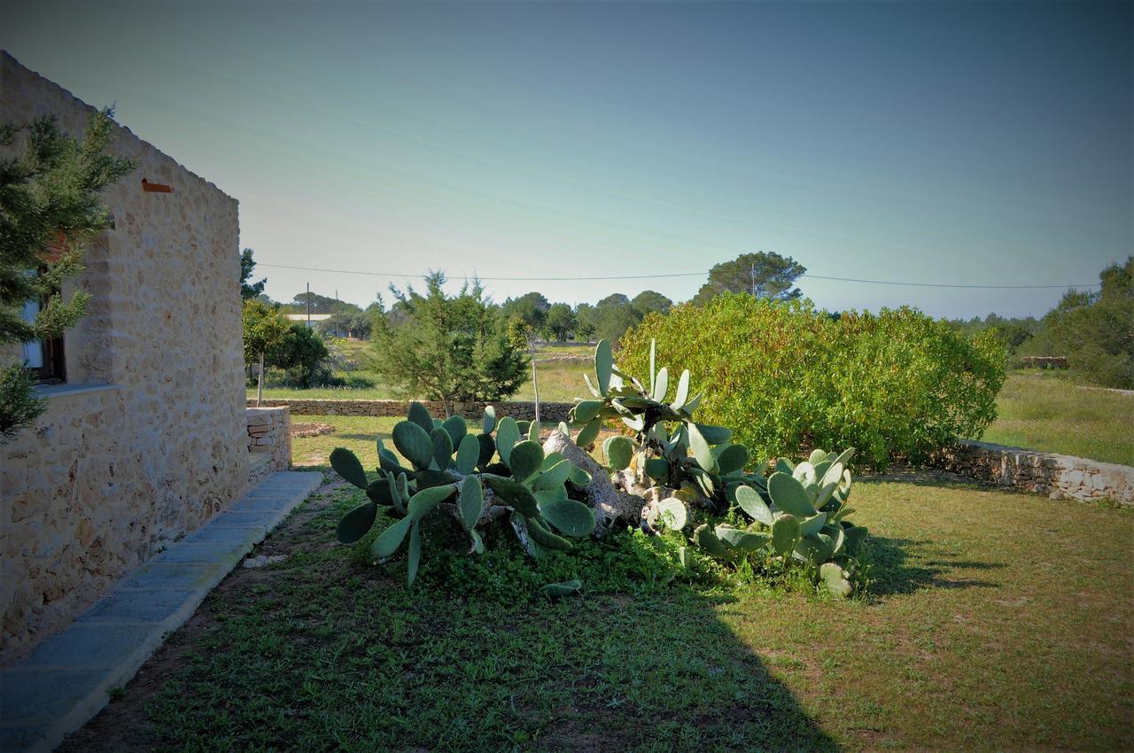 Siamoformentera Bella Villa San Francisco Javier Kültér fotó